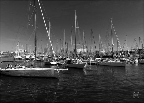 Sail boats at Martha's Vineyard