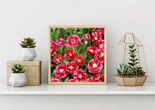 Load image into Gallery viewer, Flowers of Dream Touch