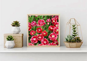 Flowers of Dream Touch