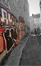 Load image into Gallery viewer, These Walls Can Talk - 1