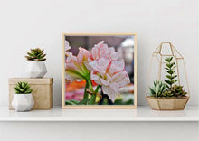 Load image into Gallery viewer, Rembrandt Tulip