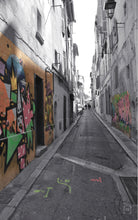 Load image into Gallery viewer, These Walls Can Talk - 2