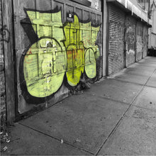 Load image into Gallery viewer, These Walls Can Talk - 4