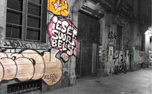 Load image into Gallery viewer, These Walls Can Talk - 5