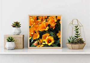 Yellow Blossoms